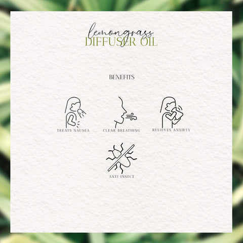Benefits of Lemongrass Aromatherapy Diffuser Oil for Air Diffuser by Heritagebox India